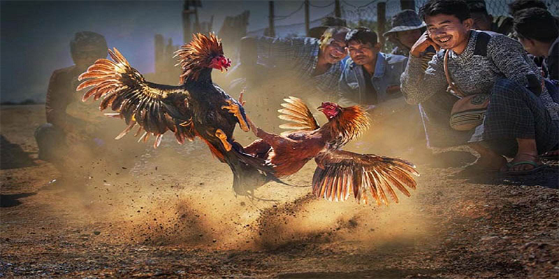 jw388 đăng nhập roulette số 1