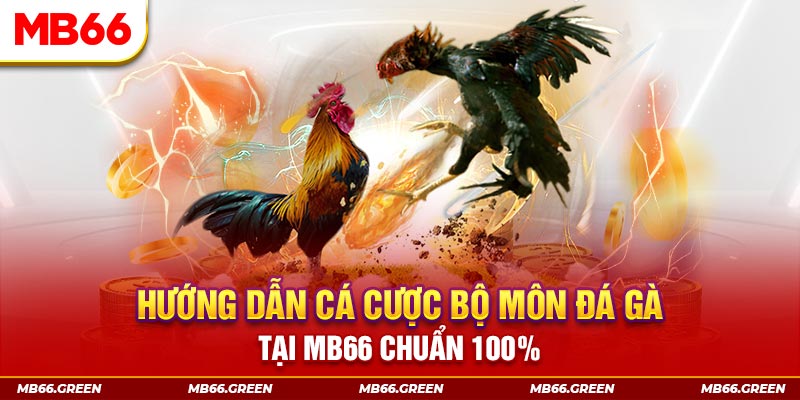 jw388 xổ số bình định