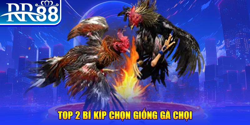 jw388 đăng nhập roulette dễ thắng