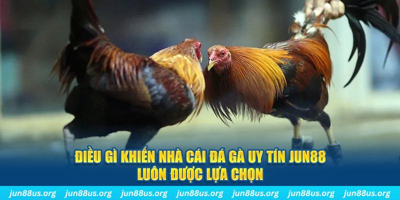 jw388 qq88 nổ hũ bắn cá