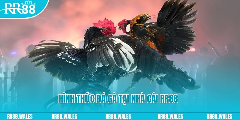 jw388 PS Điện Tử