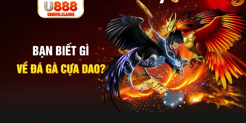 jw388 xổ số kiến thiết