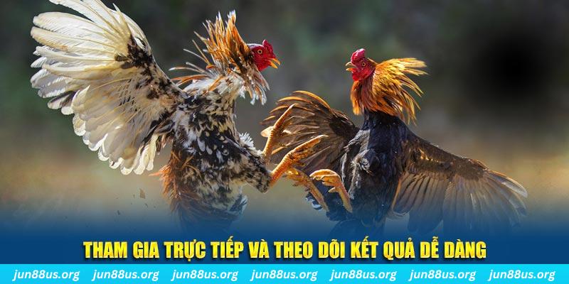 jw388 đá gà trực tiếp bình luận viên