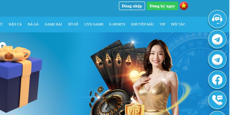 jw388 slot là gì dịch