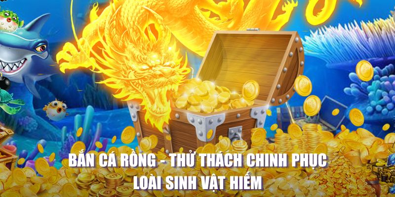 jw388 MW Điện Tử