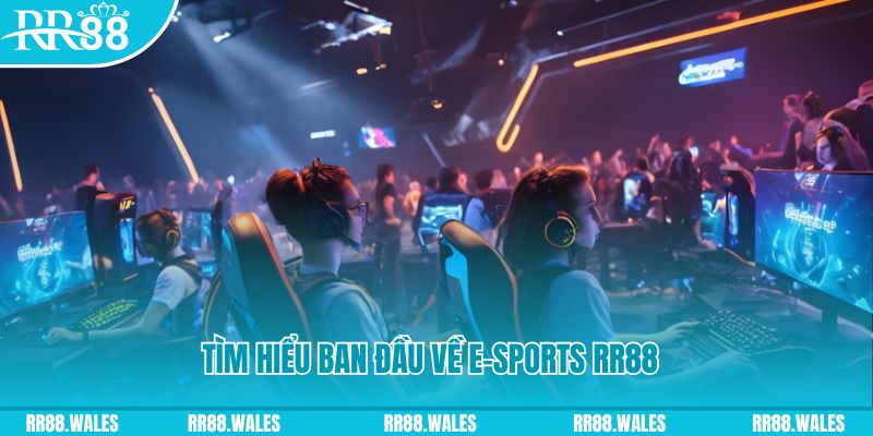 jw388 Đĩa màu ace