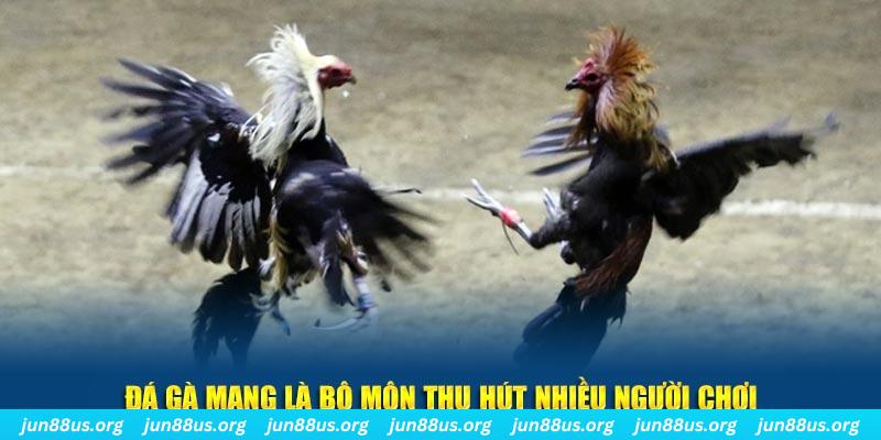 jw388 xổ số cà mau