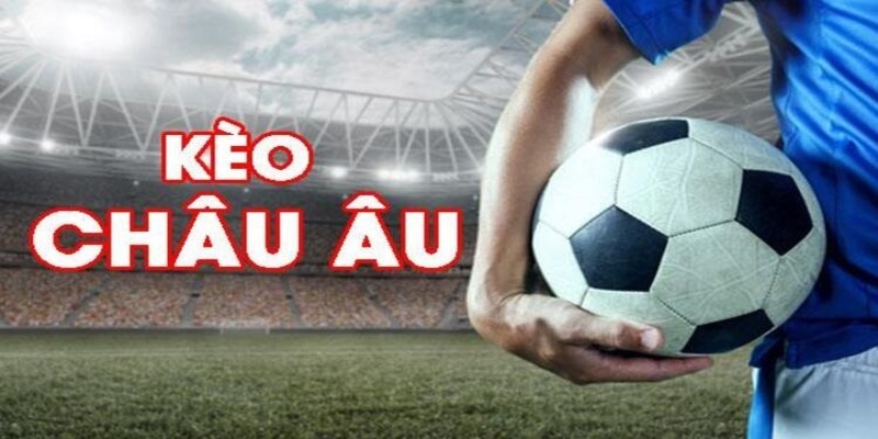 jw388 đá gà trực tiếp casino