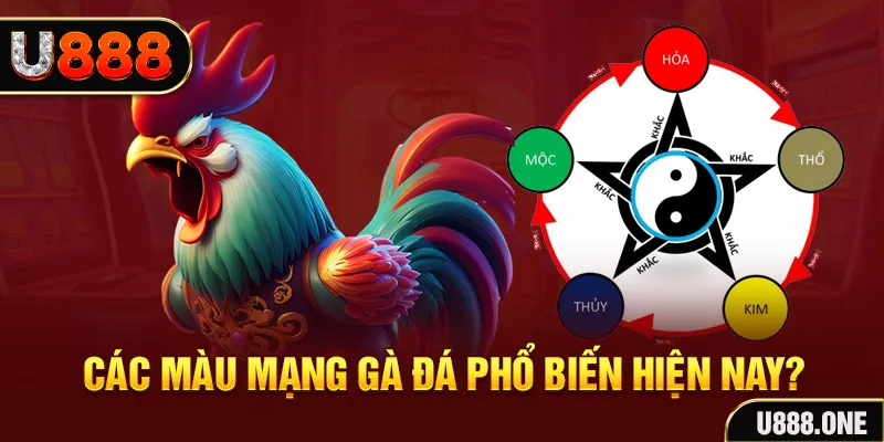 jw388 đăng nhập mậu binh