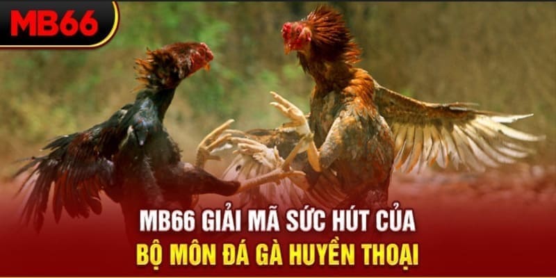 jw388 Phi Đội Ưu Tú