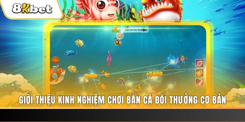 jw388 xổ số miền bắc thứ năm hàng tuần
