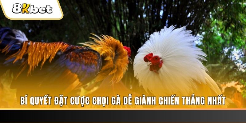 jw388 Tài Xỉu 2