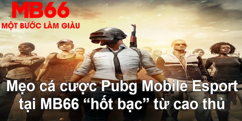jw388 gà chọi mộc hóa