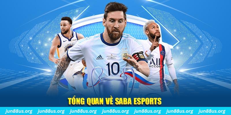jw388 gà chọi c1 tv trực tiếp hôm nay