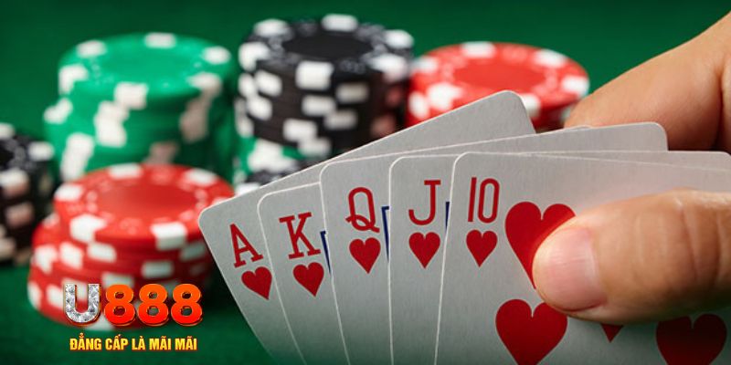 jw388 trực tiếp đá gà