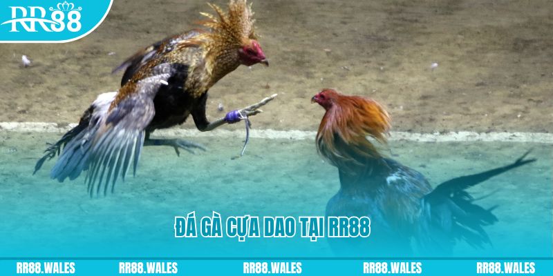 jw388 đăng nhập nổ hũ dễ thắng